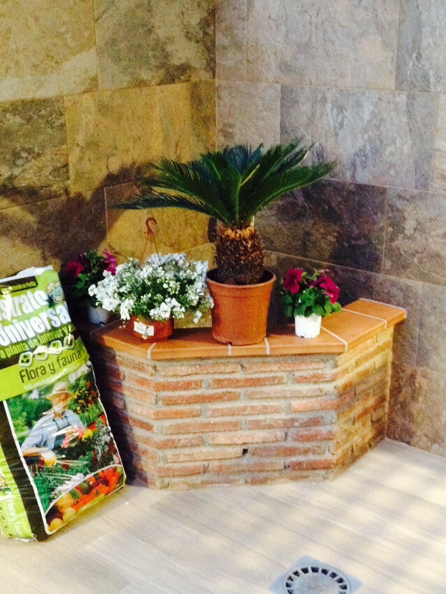 Olite mix %28alma%29