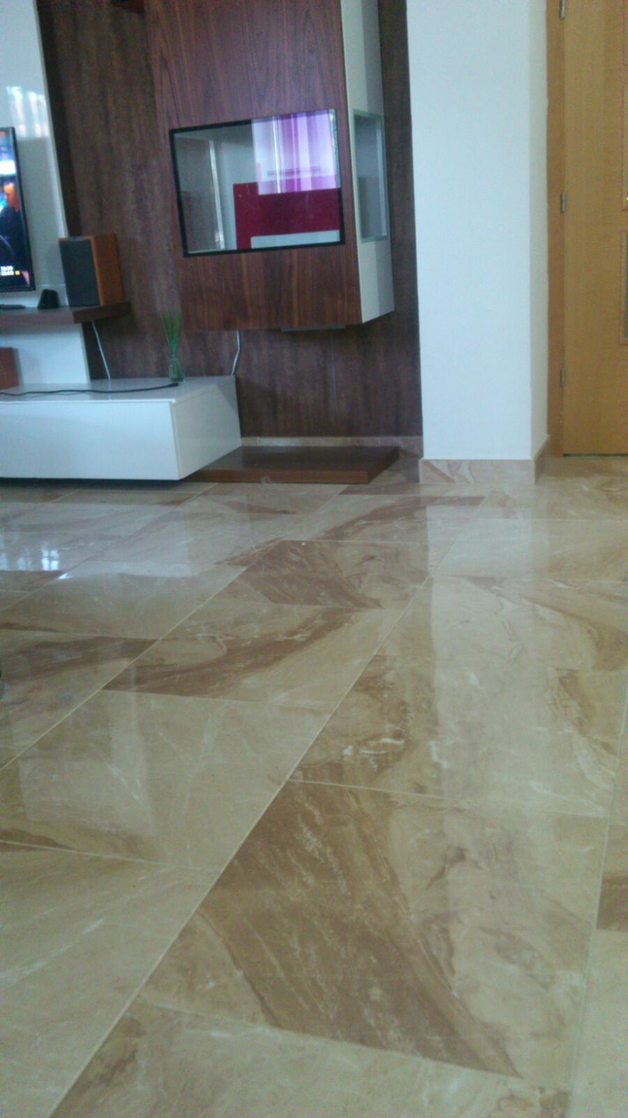 Selene coral %28rocersa%29