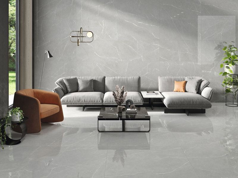 Essenza grey 60x120 120x120
